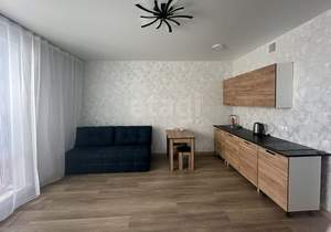 Студия квартира, на длительный срок, 27м2, 12/23 этаж