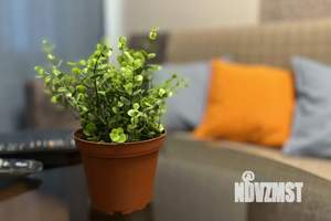 2-к квартира, посуточно, 42м2, 1/1 этаж