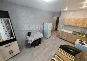 1-к квартира, на длительный срок, 20м2, 8/17 этаж