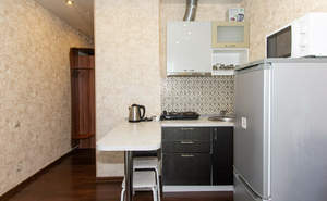 Студия квартира, на длительный срок, 20м2, 8/17 этаж