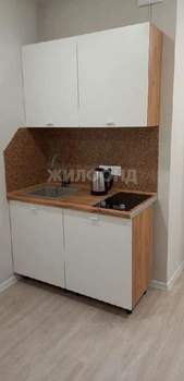 1-к квартира, на длительный срок, 21м2, 11/25 этаж