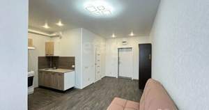 Студия квартира, на длительный срок, 25м2, 11/17 этаж