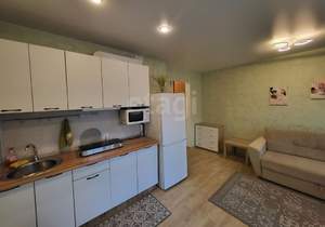 Студия квартира, на длительный срок, 24м2, 8/10 этаж