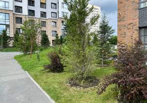 1-к квартира, на длительный срок, 39м2, 8/17 этаж