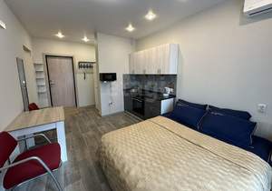 Студия квартира, на длительный срок, 25м2, 9/17 этаж