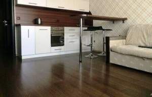 Студия квартира, на длительный срок, 30м2, 10/13 этаж