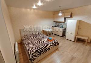 1-к квартира, на длительный срок, 31м2, 6/20 этаж