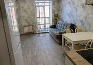 Студия квартира, на длительный срок, 24м2, 7/13 этаж