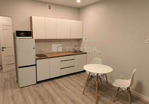 Студия квартира, на длительный срок, 28м2, 4/23 этаж