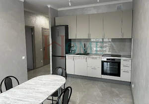 1-к квартира, на длительный срок, 48м2, 11/19 этаж