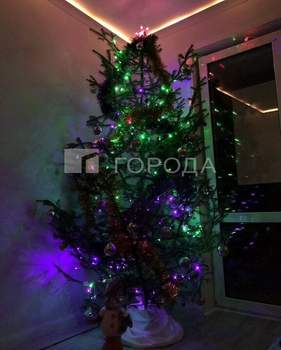 Студия квартира, на длительный срок, 31м2, 25/25 этаж