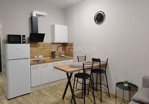 Студия квартира, на длительный срок, 23м2, 17/17 этаж