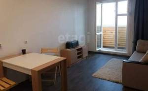 Студия квартира, на длительный срок, 24м2, 17/17 этаж