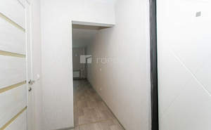 Студия квартира, на длительный срок, 25м2, 14/17 этаж