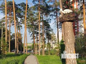 2-к квартира, на длительный срок, 65м2, 3/25 этаж