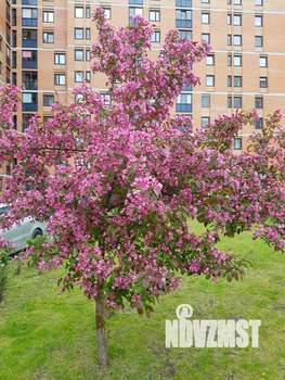 2-к квартира, на длительный срок, 55м2, 1/17 этаж