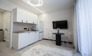 Студия квартира, на длительный срок, 28м2, 17/25 этаж