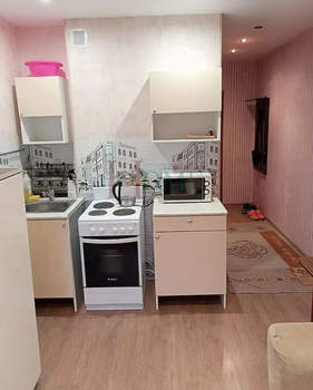 1-к квартира, на длительный срок, 22м2, 14/17 этаж