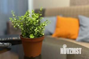 1-к квартира, посуточно, 56м2, 1/1 этаж