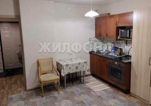 1-к квартира, на длительный срок, 24м2, 7/18 этаж