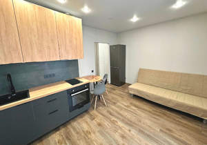 Студия квартира, на длительный срок, 23м2, 7/17 этаж