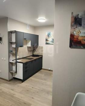 Студия квартира, на длительный срок, 27м2, 12/17 этаж