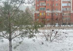 Студия квартира, на длительный срок, 28м2, 1/17 этаж