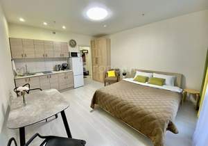 Студия квартира, на длительный срок, 25м2, 7/15 этаж