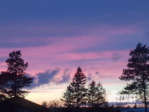 1-к квартира, на длительный срок, 43м2, 8/10 этаж