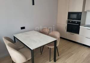 Студия квартира, на длительный срок, 47м2, 13/24 этаж