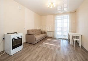 Студия квартира, на длительный срок, 24м2, 13/13 этаж