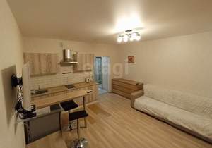 Студия квартира, на длительный срок, 25м2, 1/24 этаж