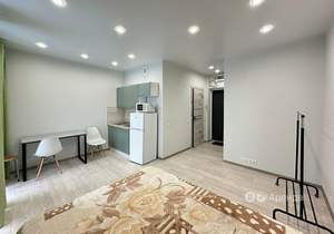 Студия квартира, на длительный срок, 24м2, 6/9 этаж