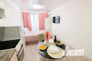 Студия квартира, посуточно, 24м2, 6/17 этаж