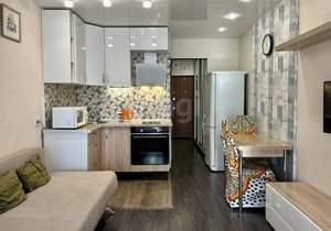 Студия квартира, на длительный срок, 30м2, 13/17 этаж