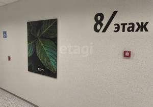 Студия квартира, на длительный срок, 26м2, 8/14 этаж