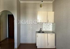 1-к квартира, на длительный срок, 20м2, 7/17 этаж