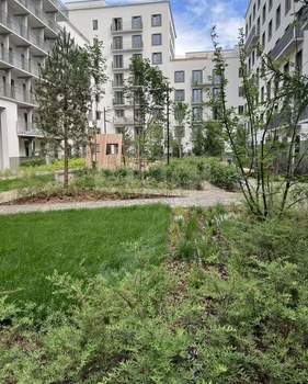 Студия квартира, на длительный срок, 30м2, 5/9 этаж