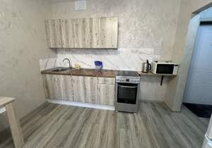 Студия квартира, на длительный срок, 28м2, 7/17 этаж