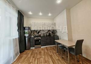 1-к квартира, на длительный срок, 22м2, 4/17 этаж