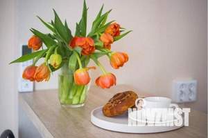 1-к квартира, посуточно, 26м2, 9/16 этаж