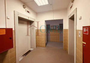 Студия квартира, на длительный срок, 29м2, 13/16 этаж