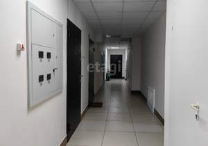 Студия квартира, на длительный срок, 24м2, 13/13 этаж