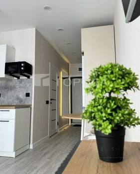 Студия квартира, на длительный срок, 28м2, 18/25 этаж