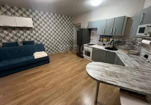 Студия квартира, на длительный срок, 30м2, 10/10 этаж