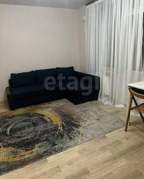 Студия квартира, на длительный срок, 30м2, 13/24 этаж