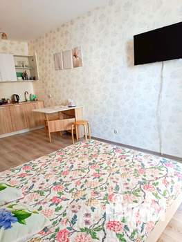 Студия квартира, посуточно, 27м2, 7/17 этаж