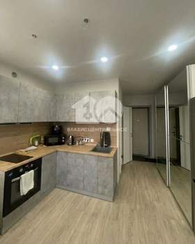 Студия квартира, на длительный срок, 26м2, 8/17 этаж