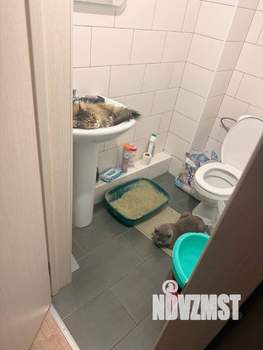 Студия квартира, на длительный срок, 25м2, 9/19 этаж