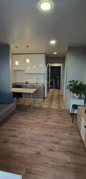 Студия квартира, на длительный срок, 26м2, 14/19 этаж